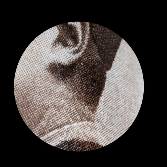 Prince Edward of Wales 1927 Royal Visit to Workington - Picture 6 of 6